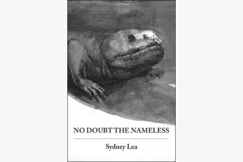 image of Sydney Lea poetry collection