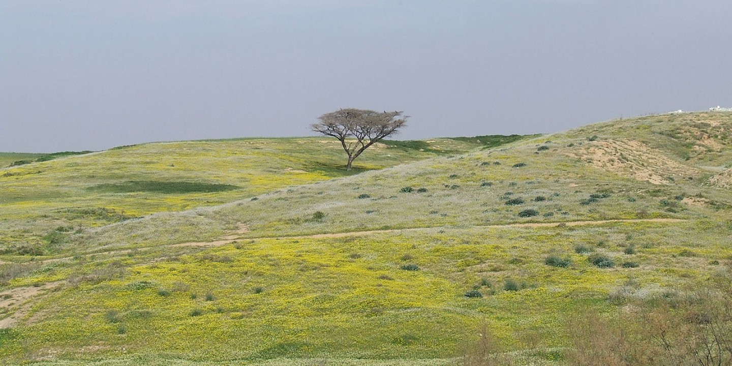 Kibbutz Be'eri