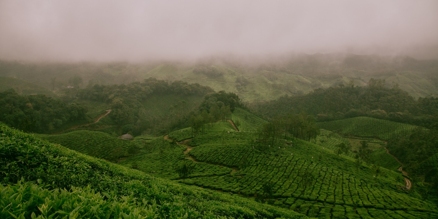 landscape in India